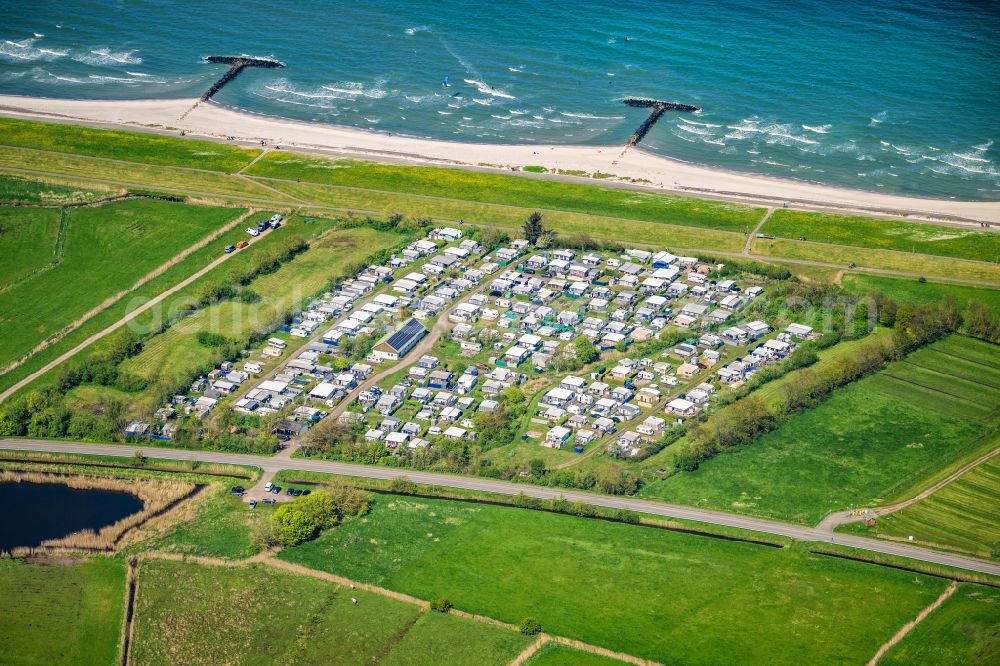 Aerial photograph Schönberg - Campsite with caravans and tents in the coastal area Campingplatz Hasselkrug oHG on street Promenade in Schoenberg in the state Schleswig-Holstein, Germany