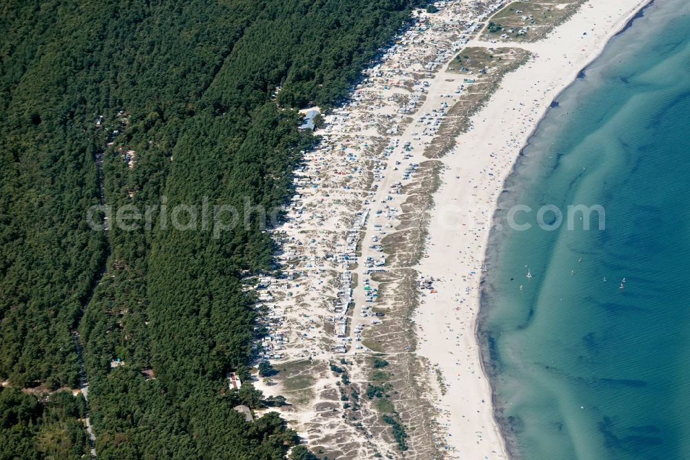 Born am Darß from the bird's eye view: Campsite with caravans and tents in the coastal area of Baltic Sea in Born am Darss at the baltic sea coast in the state Mecklenburg - Western Pomerania, Germany