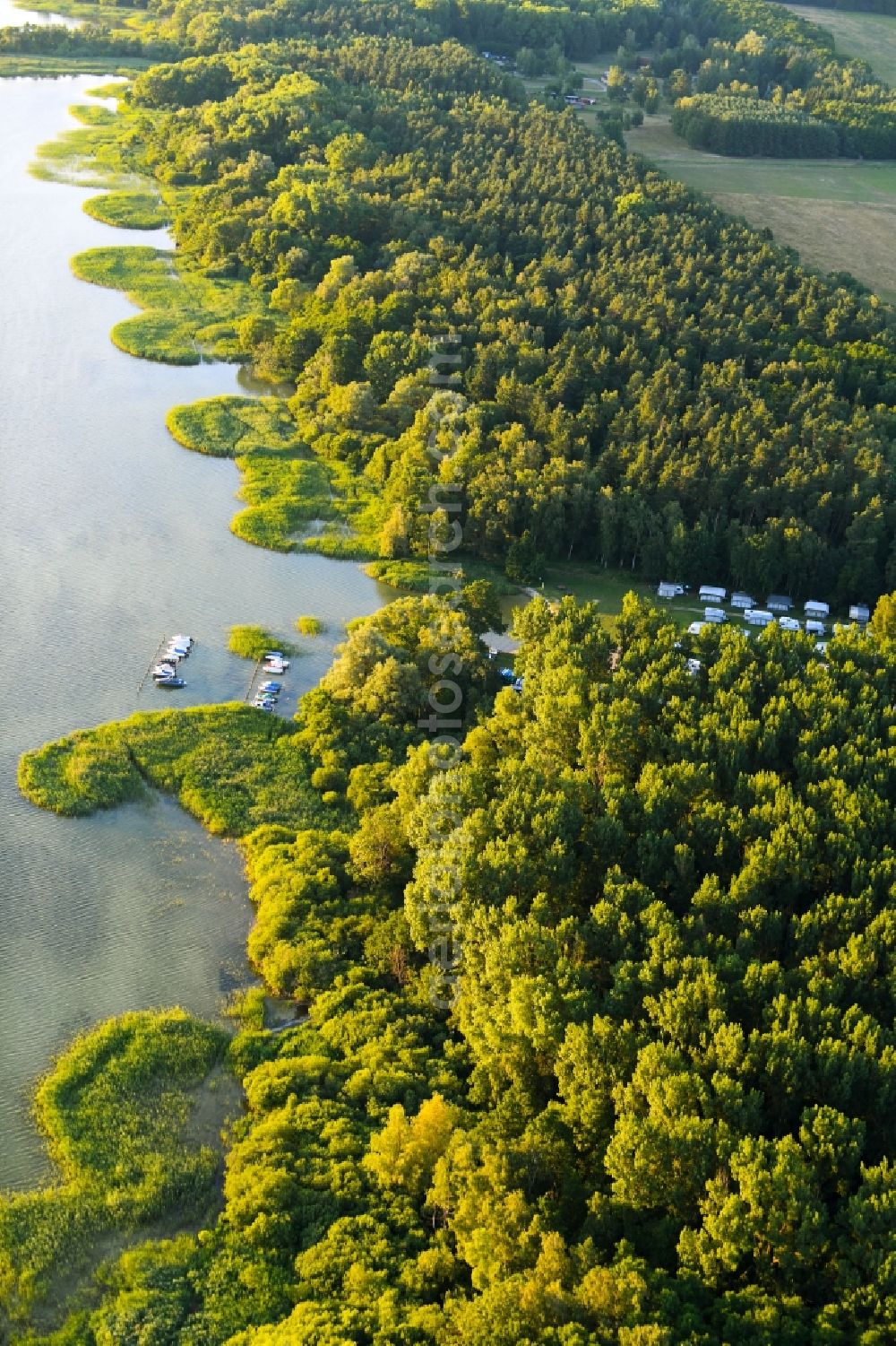 Boeck from the bird's eye view: Camping with caravans and tents on lake mueritz in Boeck in the state Mecklenburg - Western Pomerania, Germany