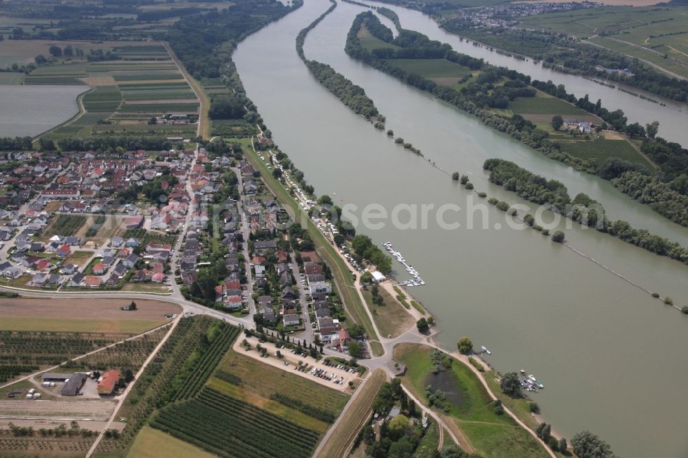 Aerial image Heidesheim am Rhein - The campsite Inselrhein Heidenfahrt with caravans and tents is located on the southern bank of the Rhine in the district Heidenfahrt of the municipality Heidesheim am Rhein in Rhineland-Palatinate