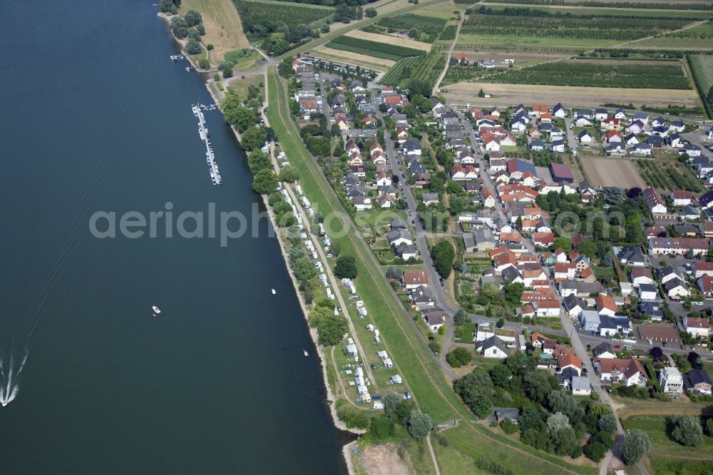 Heidesheim am Rhein from the bird's eye view: The campsite Inselrhein Heidenfahrt with caravans and tents is located on the southern bank of the Rhine in the district Heidenfahrt of the municipality Heidesheim am Rhein in Rhineland-Palatinate. Before that, a marina with pontoons