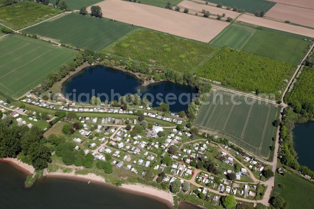 Trebur from the bird's eye view: Camping with caravans and tents in the district Griesheim in Trebur in the state Hesse, Germany