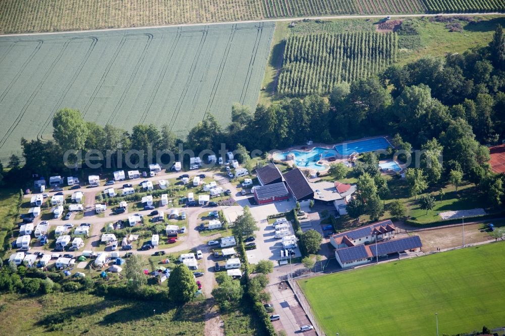 Aerial image Billigheim-Ingenheim - Camping with caravans and tents in the district Ingenheim in Billigheim-Ingenheim in the state Rhineland-Palatinate