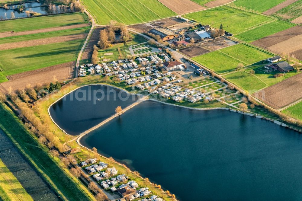 Riegel am Kaiserstuhl from above - Camping with caravans and tents in Riegel am Kaiserstuhl in the state Baden-Wurttemberg, Germany