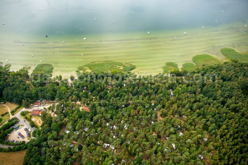 Aerial image Rechlin - Camping with caravans and tents and surf school at lake Mueritz in Rechlin in the state Mecklenburg - Western Pomerania