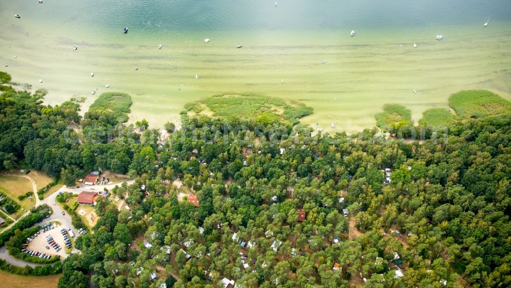 Aerial photograph Rechlin - Camping with caravans and tents and surf school at lake Mueritz in Rechlin in the state Mecklenburg - Western Pomerania