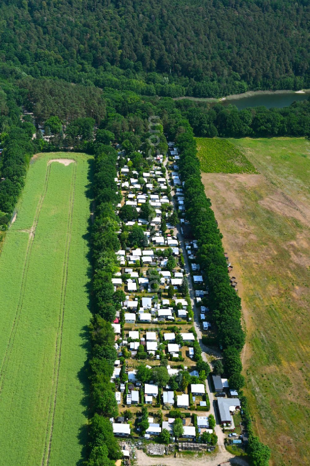 Tiefensee from above - Camping with caravans and tents on street Schmiedeweg in Tiefensee in the state Brandenburg, Germany