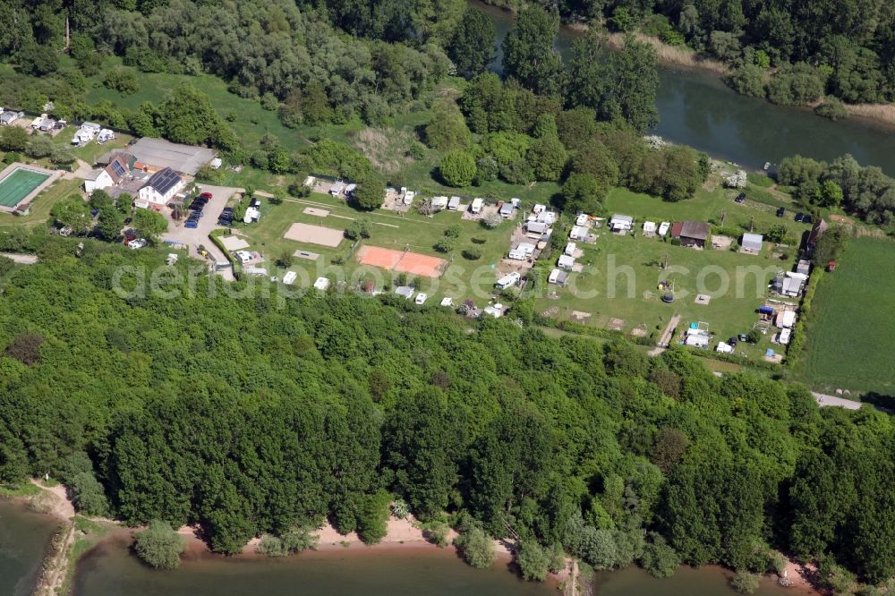 Aerial image Trebur - Camping with caravans and tents on the Rhine Island Langenau in Trebur in the state Hesse, Germany