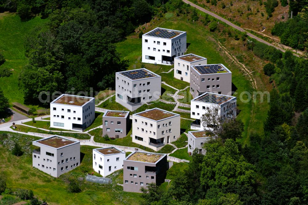 Freiburg im Breisgau from the bird's eye view: Campus building of the University of Applied Sciences UWC Robert Bosch College (Privatschule) in the district Waldsee in Freiburg im Breisgau in the state Baden-Wuerttemberg, Germany
