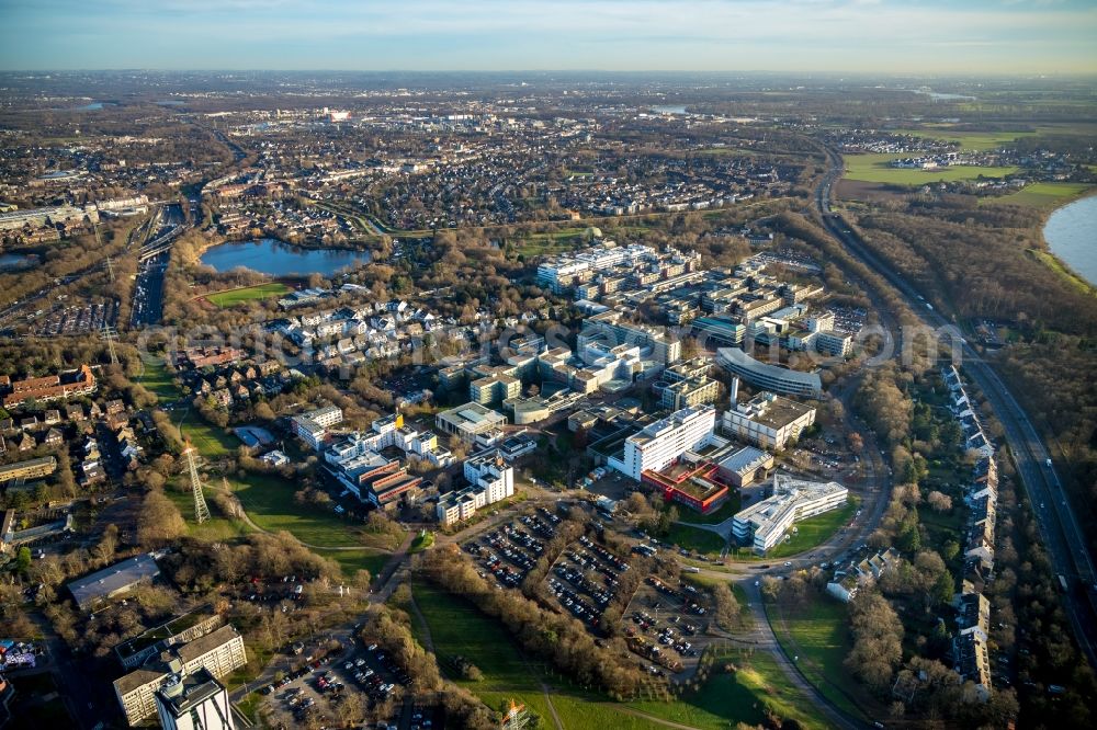 Düsseldorf from the bird's eye view: Campus University- area Exzellenzcluster CEPLAS on Universitaetsstrasse in the district Bilk in Duesseldorf in the state North Rhine-Westphalia, Germany