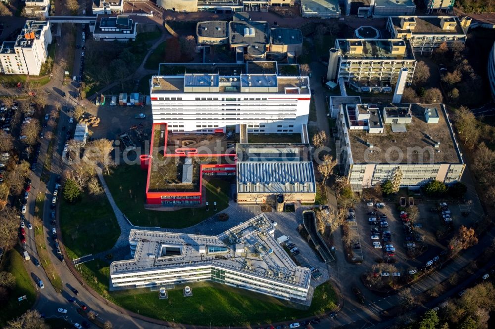 Düsseldorf from above - Campus University- area Exzellenzcluster CEPLAS on Universitaetsstrasse in the district Bilk in Duesseldorf in the state North Rhine-Westphalia, Germany