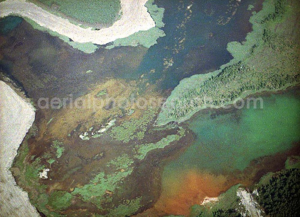 Schwarzheide / Brandenburg from above - Chemieablagerungen der BASF AG in Schwarzheide.