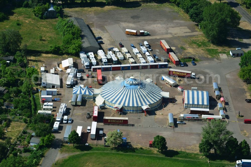 Magdeburg from the bird's eye view: Circus tent domes of the circus Roncalli in Magdeburg in the state Saxony-Anhalt