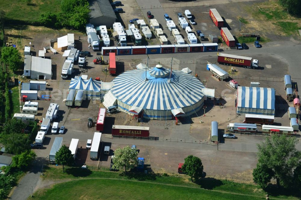 Aerial image Magdeburg - Circus tent domes of the circus Roncalli in Magdeburg in the state Saxony-Anhalt