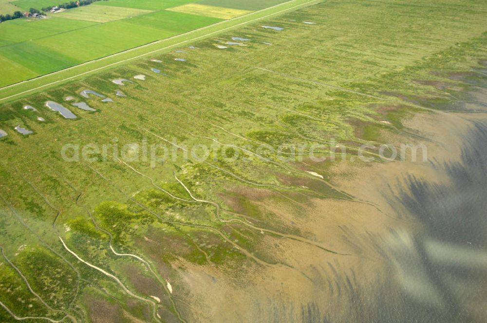 Sande from above - Blick auf die Küste des Jadebusen bei Sande OT Cäciliengrode - Niedersachsen / NI, Kontakt: