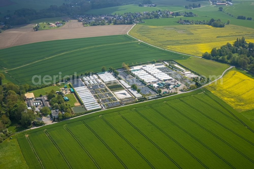 Aerial image Heiligenhaus - Rows of greenhouses for growing plants in Heiligenhaus at Ruhrgebiet in the state North Rhine-Westphalia, Germany