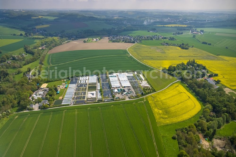 Aerial photograph Heiligenhaus - Rows of greenhouses for growing plants in Heiligenhaus at Ruhrgebiet in the state North Rhine-Westphalia, Germany