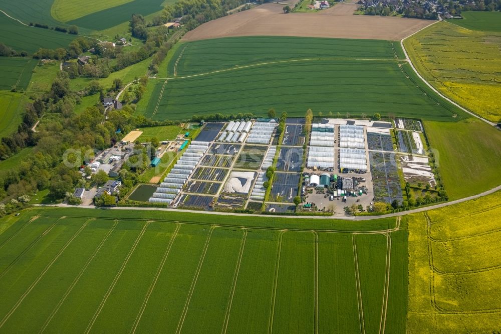 Heiligenhaus from above - Rows of greenhouses for growing plants in Heiligenhaus at Ruhrgebiet in the state North Rhine-Westphalia, Germany