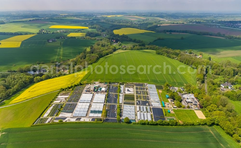 Heiligenhaus from above - Rows of greenhouses for growing plants in Heiligenhaus at Ruhrgebiet in the state North Rhine-Westphalia, Germany