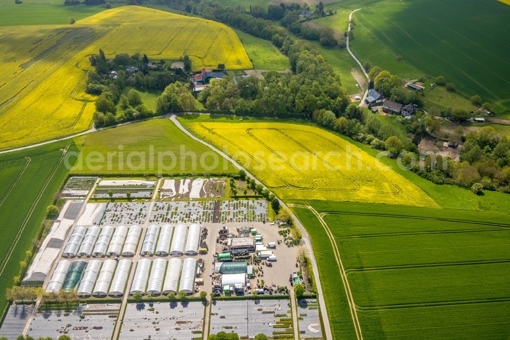 Heiligenhaus from the bird's eye view: Rows of greenhouses for growing plants in Heiligenhaus at Ruhrgebiet in the state North Rhine-Westphalia, Germany