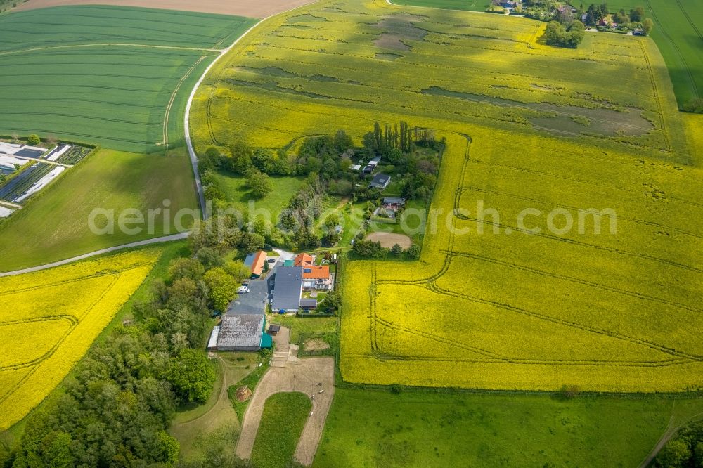 Aerial image Heiligenhaus - Rows of greenhouses for growing plants in Heiligenhaus at Ruhrgebiet in the state North Rhine-Westphalia, Germany