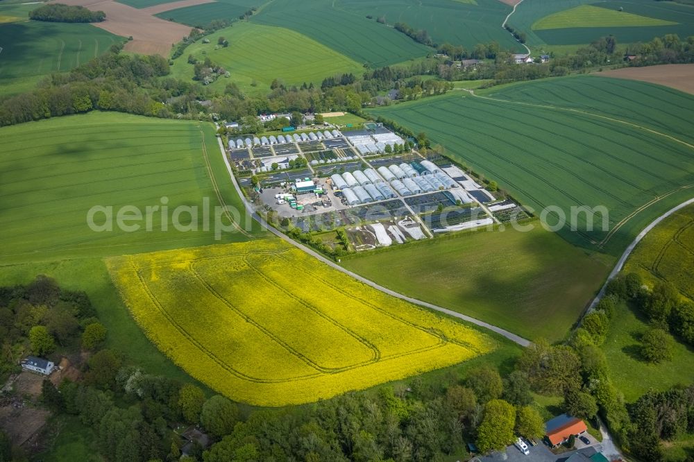 Aerial photograph Heiligenhaus - Rows of greenhouses for growing plants in Heiligenhaus at Ruhrgebiet in the state North Rhine-Westphalia, Germany