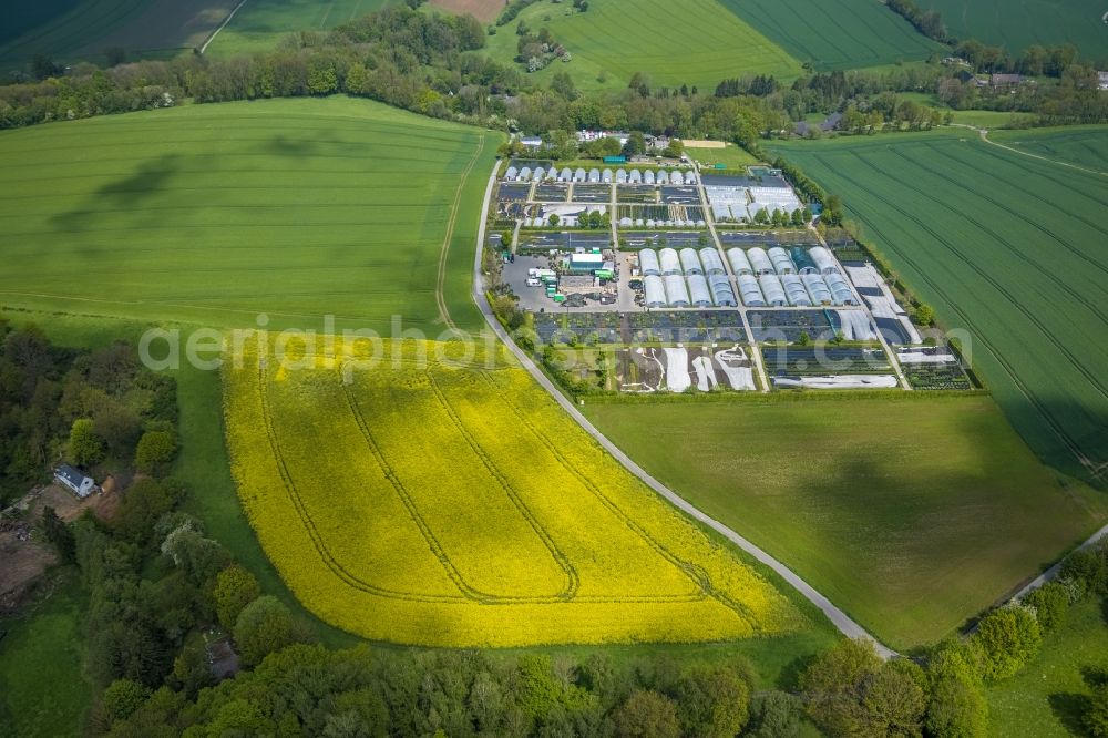 Heiligenhaus from above - Rows of greenhouses for growing plants in Heiligenhaus at Ruhrgebiet in the state North Rhine-Westphalia, Germany