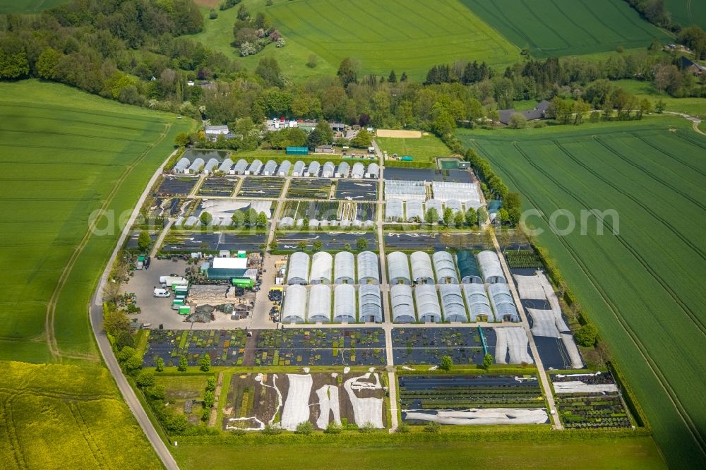 Heiligenhaus from the bird's eye view: Rows of greenhouses for growing plants in Heiligenhaus at Ruhrgebiet in the state North Rhine-Westphalia, Germany