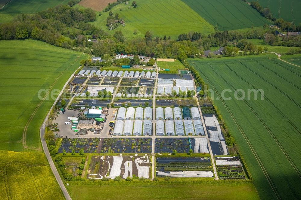 Aerial image Heiligenhaus - Rows of greenhouses for growing plants in Heiligenhaus at Ruhrgebiet in the state North Rhine-Westphalia, Germany