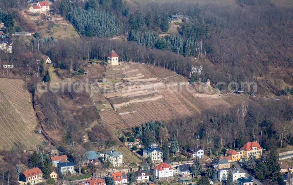 Aerial photograph Radebeul - Minckwitz's vineyard house in Radebeul in Saxony, Germany, also known as Haus Minckwitz am historischen Weingut