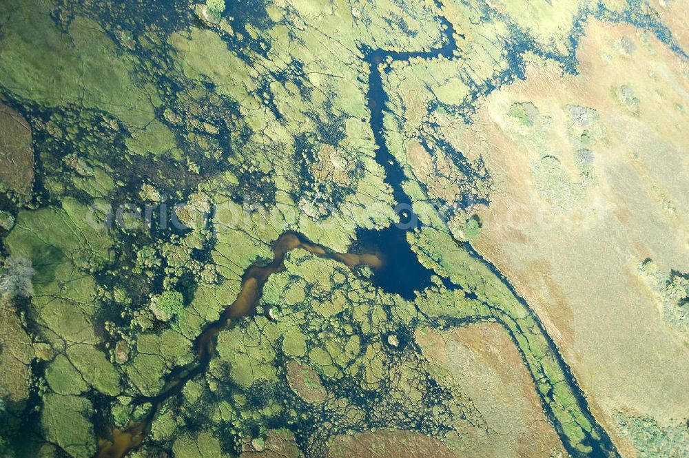 Okavango Delta from the bird's eye view: Blick auf das Flusssystem im Okavango Delta, Botswana, Suedafrika. Aerial view of the river arteries of the Okavango Delta, Botswana, southern Africa.