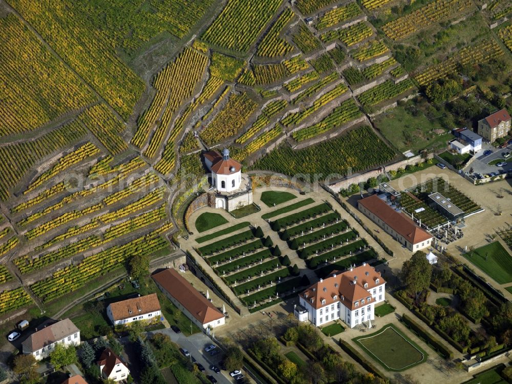 Aerial photograph Radebeul - Wackerbarth is surrounded by vineyards, Baroque castle in the district of Lower Lößnitz Radebeul. Chateau and winery are located in the conservation area historical vineyard landscape Radebeul. Wackerbarth Saxon heritage as part of the castles of Saxony