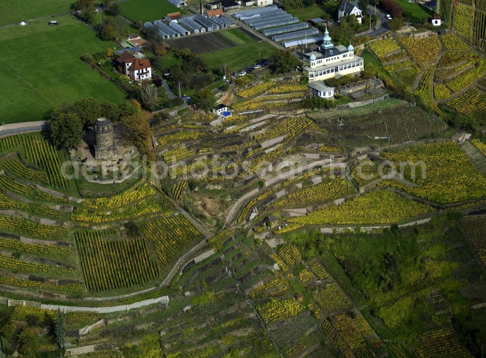 Aerial image Radebeul - The cottage Spitzhaus in the vineyard of Radebeul in the state of Saxony. Located in the Lößnitz part of the city, some of the most important buildings lie on top of the vineyards. The whole area is listed and landmarked as a heritage site. The wine is generally called Großlage Lößnitz. The visible Spitzhaus is a former cottage and Lusthaus, the tower is a beloved tourist site