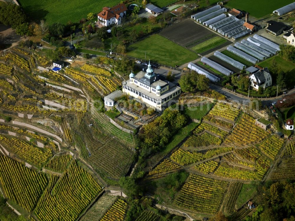 Radebeul from above - The cottage Spitzhaus in the vineyard of Radebeul in the state of Saxony. Located in the Lößnitz part of the city, some of the most important buildings lie on top of the vineyards. The whole area is listed and landmarked as a heritage site. The wine is generally called Großlage Lößnitz. The visible Spitzhaus is a former cottage and Lusthaus