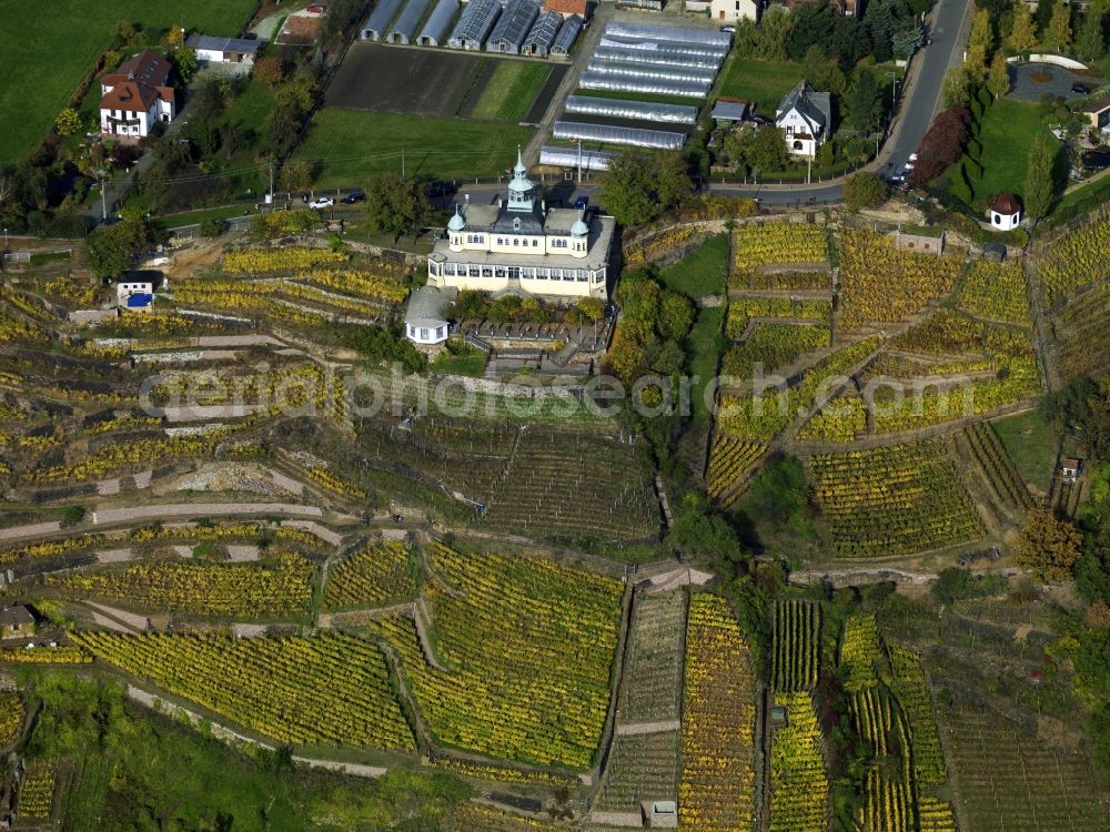 Radebeul from the bird's eye view: The cottage Spitzhaus in the vineyard of Radebeul in the state of Saxony. Located in the Lößnitz part of the city, some of the most important buildings lie on top of the vineyards. The whole area is listed and landmarked as a heritage site. The wine is generally called Großlage Lößnitz. The visible Spitzhaus is a former cottage and Lusthaus