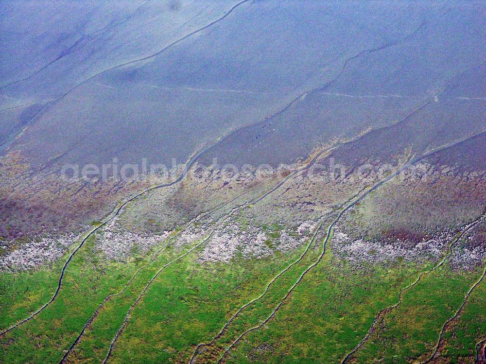 Aerial photograph Jade-Schweiburg - 18.10.2005 Jade-Schweiburg; Als Wattenmeer bezeichnet man das Teilgebiet eines Meeres im Küstenbereich beziehungsweise die dortige Landschaft, die unter einem starken Einfluss der Gezeiten steht. Ein Wattenmeer ist regelmäßig zwei Mal täglich während eines Hochwassers überflutet und fällt während eines Niedrigwassers trocken. Die bei Niedrigwasser trocken fallenden Flächen bezeichnet man als Watt.