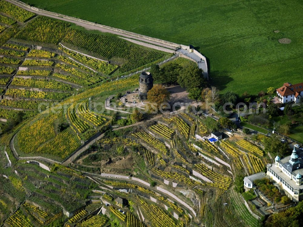 Aerial photograph Radebeul - The tower Bismarckturm in the vineyard of Radebeul in the state of Saxony. Located in the Lößnitz part of the city, some of the most important buildings lie on top of the vineyards. The whole area is listed and landmarked as a heritage site. The wine is generally called Großlage Lößnitz. The tower is a beloved tourist site and accessible by a series of steps