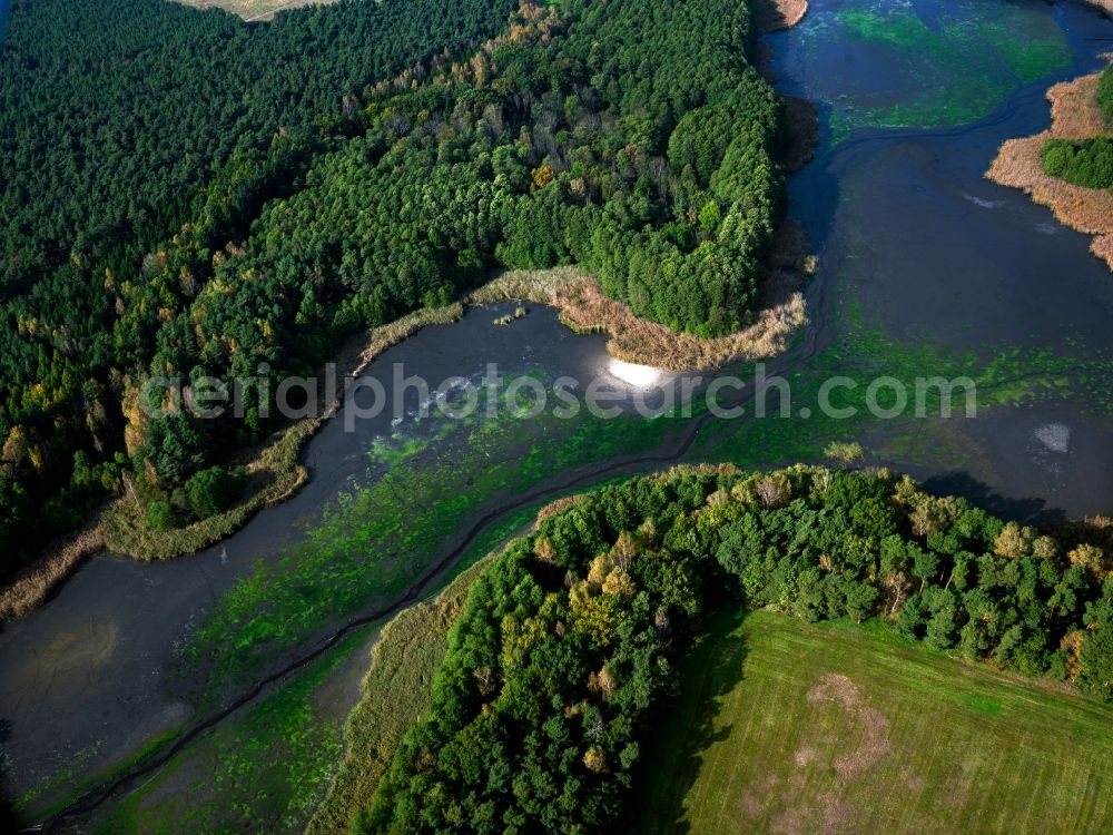 Lieberose from the bird's eye view: The lake Dammer Teich in Lieberose in the state of Brandenburg. The lake lies within the moor and forests of the Dammer Moor region