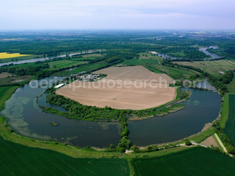 Aerial image Coswig - The river Elbe and the old Elbe in Coswig in the state of Saxony-Anhalt. The river runs between fields through the landscape. The visible horse-shoe-bend, which is only slightly watered, is part of the old Elbe. Visible as well is the highway A9 crossing the river