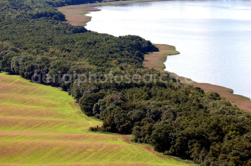 Basedow from the bird's eye view: Der Malchiner See ,it Wald und Feld an der Dorfstraße.