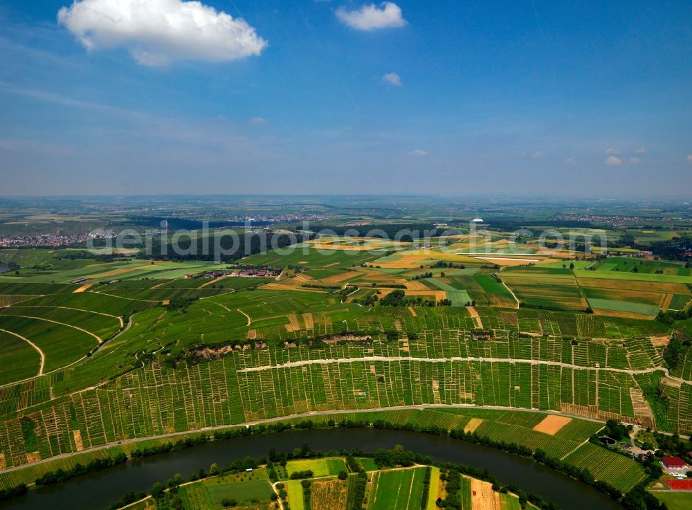 Mundelsheim from the bird's eye view: The run of the river Neckar at Mundelsheim in the county district of Ludwigsburg in the state of Baden-Württemberg. The river takes a horseshoe bend between vineyards. Its run from South to North and South again encloses the forest of Neckarhalde and some fields