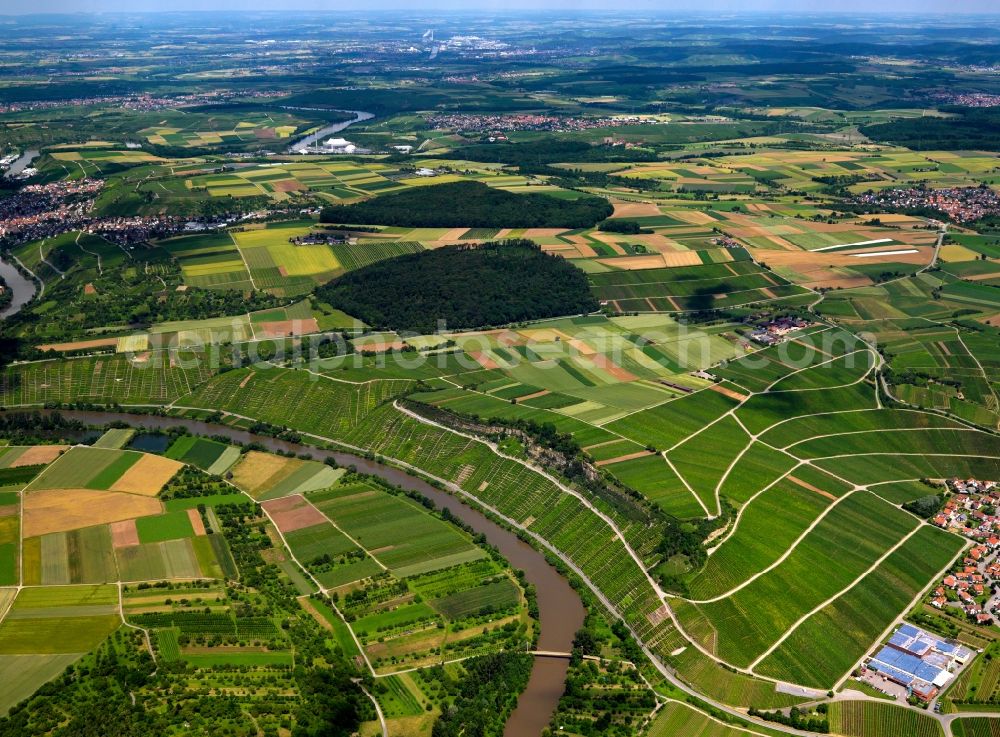 Besigheim from the bird's eye view: The river Neckar and vineyards in the town of Besigheim in the state of Baden-Württemberg. The river runs in a bend through the town. On its riverbanks there are several vineyards