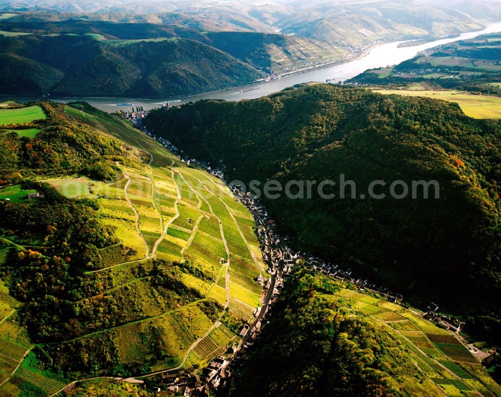 Aerial image Bacharach - The Steeg part of Bacharach in the Muenzbach Valley in the state of Rhineland-Palatinate. Steeg is located in a narrow valley which stretches towards the river Rhine. The river is surrounded by steep slopes on its riverbank. Steeg is characterised by viniculture and nowadays depends on tourism