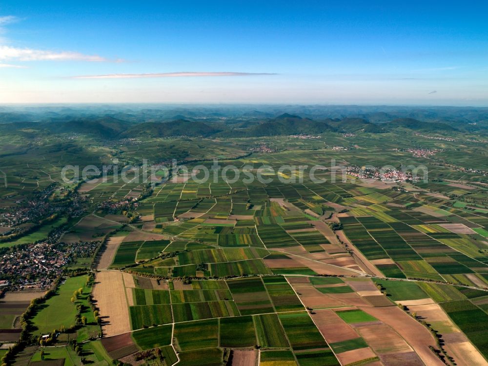 Aerial photograph Niederbronn - The Palatinate Forest near in the state of Rhineland-Palatinate. It is the largest forest in Germany and one of the largest in Europe. Originally used for energy and wood, it is today marked as a recreational area as well as and important ecological area in Germany and designated a nature park