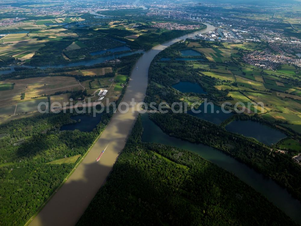 Mannheim from the bird's eye view: The river Rhine at the city of Mannheim in the state of Baden-Württemberg. In the overview visible is the run of the river through the landscape. In the background lies Mannheim. The Rhine is important for shipping and transportation and is surrounded by woods, small lakes and fields