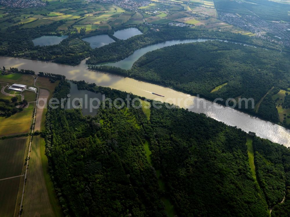 Aerial image Mannheim - The river Rhine at the city of Mannheim in the state of Baden-Württemberg. In the overview visible is the run of the river through the landscape. In the background lies Mannheim. The Rhine is important for shipping and transportation and is surrounded by woods, small lakes and fields