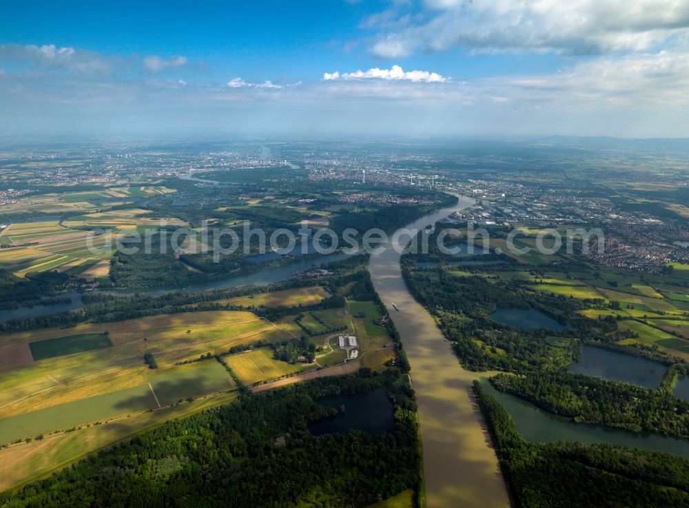 Mannheim from above - The river Rhine at the city of Mannheim in the state of Baden-Württemberg. In the overview visible is the run of the river through the landscape. In the background lies Mannheim. The Rhine is important for shipping and transportation and is surrounded by woods, small lakes and fields