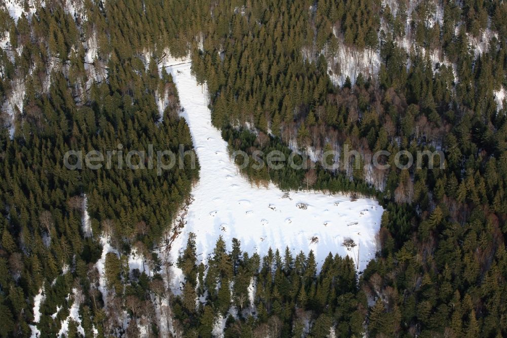 Schopfheim from the bird's eye view: On the Rohrenkopf, the local mountain of Gersbach, a district of Schopfheim in Baden-Wuerttemberg, five wind turbines are planned to be built. The building areas for the wind turbines have already been cleared in the forest landscape