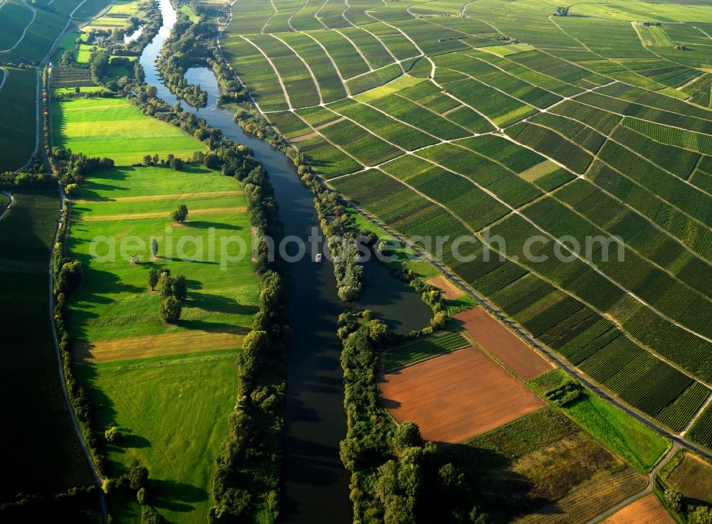 Aerial photograph Volkach - The horseshoe bend and the run of the river Main in Sommerach in the community of Volkach in the state of Bavaria. The river runs through the landscape and forms the Southern Main bend. The run of the river can be traced through the overview. The horseshoe bend is nature preserve area