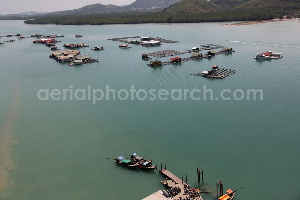 Aerial image Ratsada - The Bay Ao Tha Rua in front of the city Ratsada on the island Phuket in Thailand is full of floating fish farms with accompanying boats and houseboats